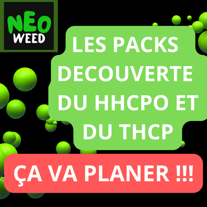 Packs découverte HHCPO et THCP