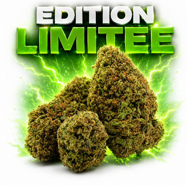 STORM CRITICAL BERRY CSA 13%