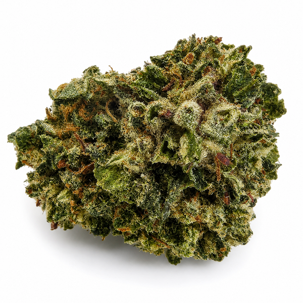 KRAKEN OG SMALL BUD CSA 19%