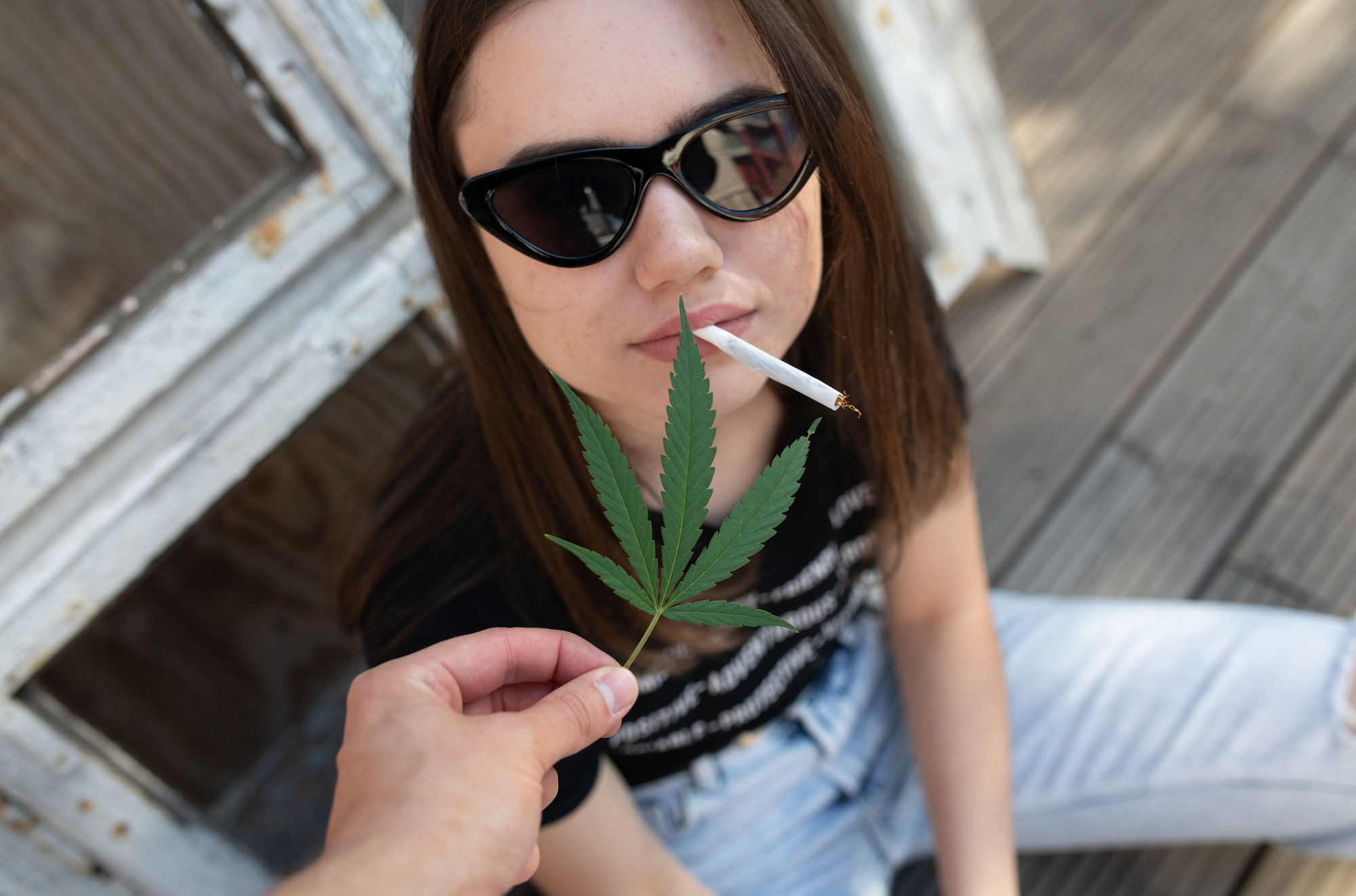 🌿 Les fleurs de CBD premium HPE + CSA : l’innovation exclusive de NeoWeed.fr