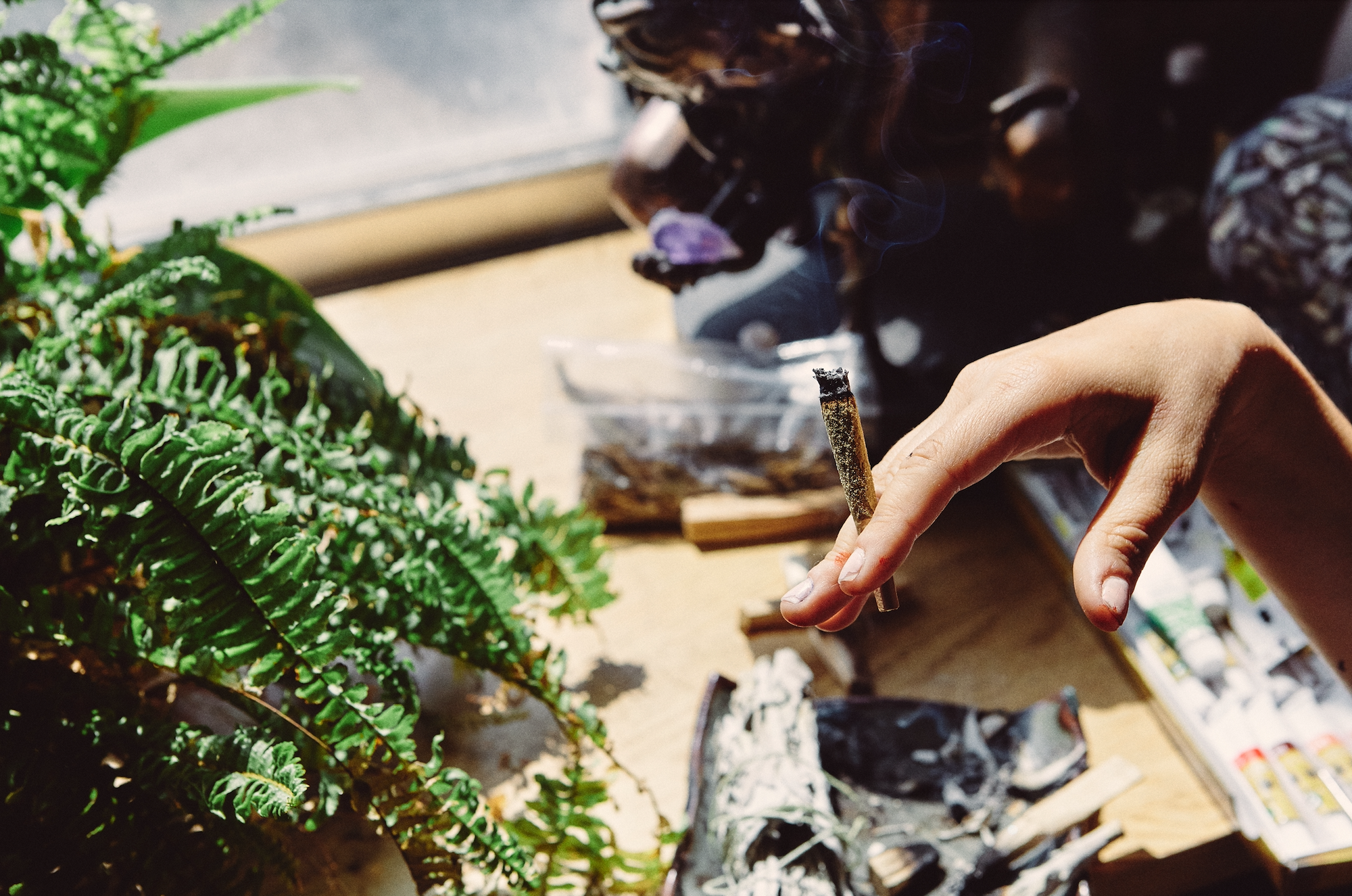 🌿 PIATELLA HASH 10 OH HHC : La résine premium pour une expérience CBD unique