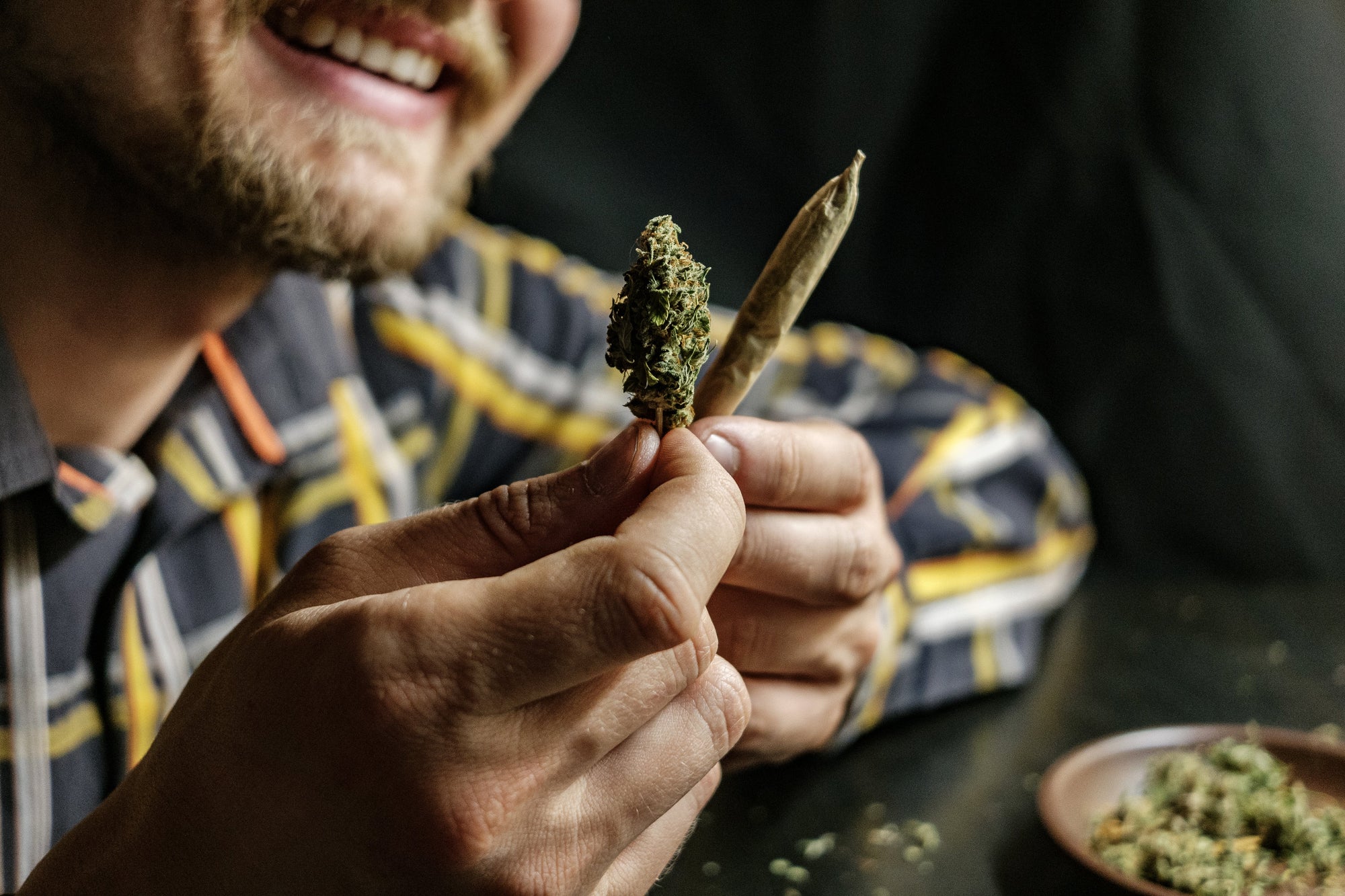 cbd-lifter-csa-neo-weed
