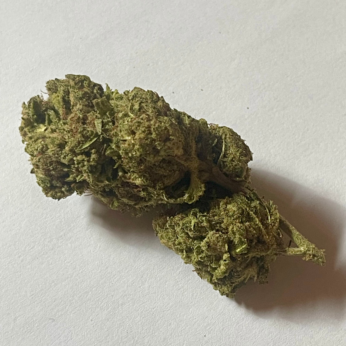🧪🌿 Découvrez notre CBD White Widow cultivé en hydroponie & boosté au CSA – une expérience premium signée Neoweed