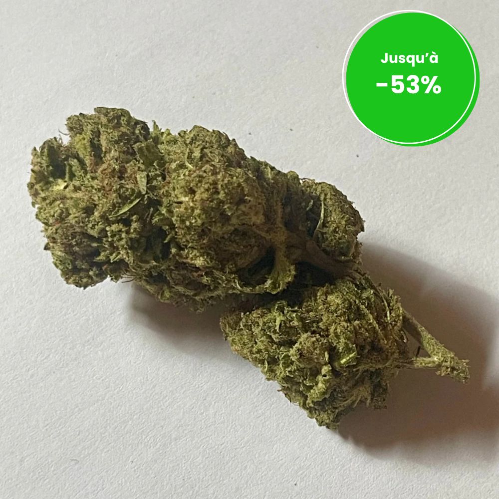 WHITE WIDOW HYDRO CSA