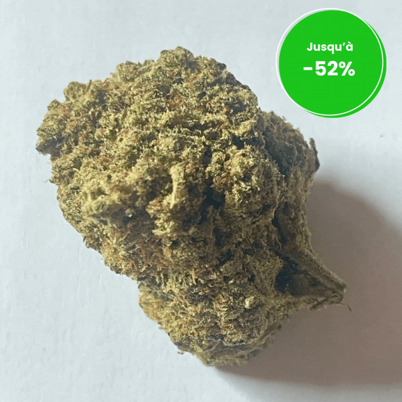 AMNESIA HAZE HYDRO 10 OH HHC