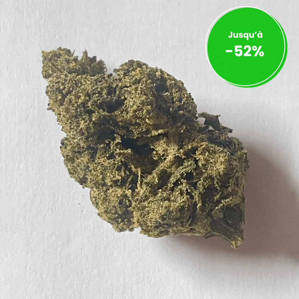 GREEN GELATO 41 INDOOR HPE 10 OH HHC