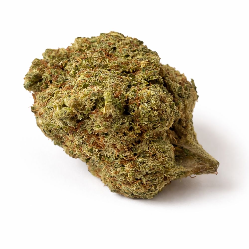 AMNESIA HAZE HYDRO BZ 10