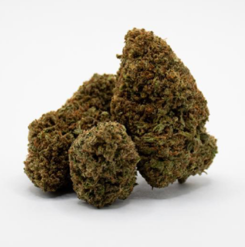 STORM CRITICAL BERRY CSA 13%