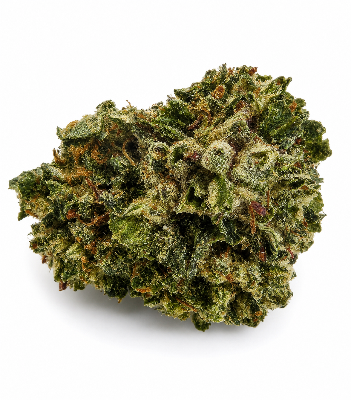 KRAKEN OG SMALL BUD CSA 19% (bientôt disponible ⏳)