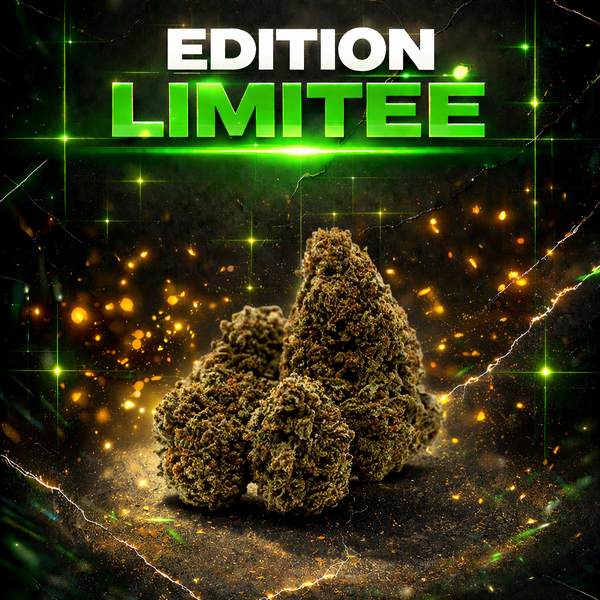 STORM CRITICAL BERRY CSA 13%