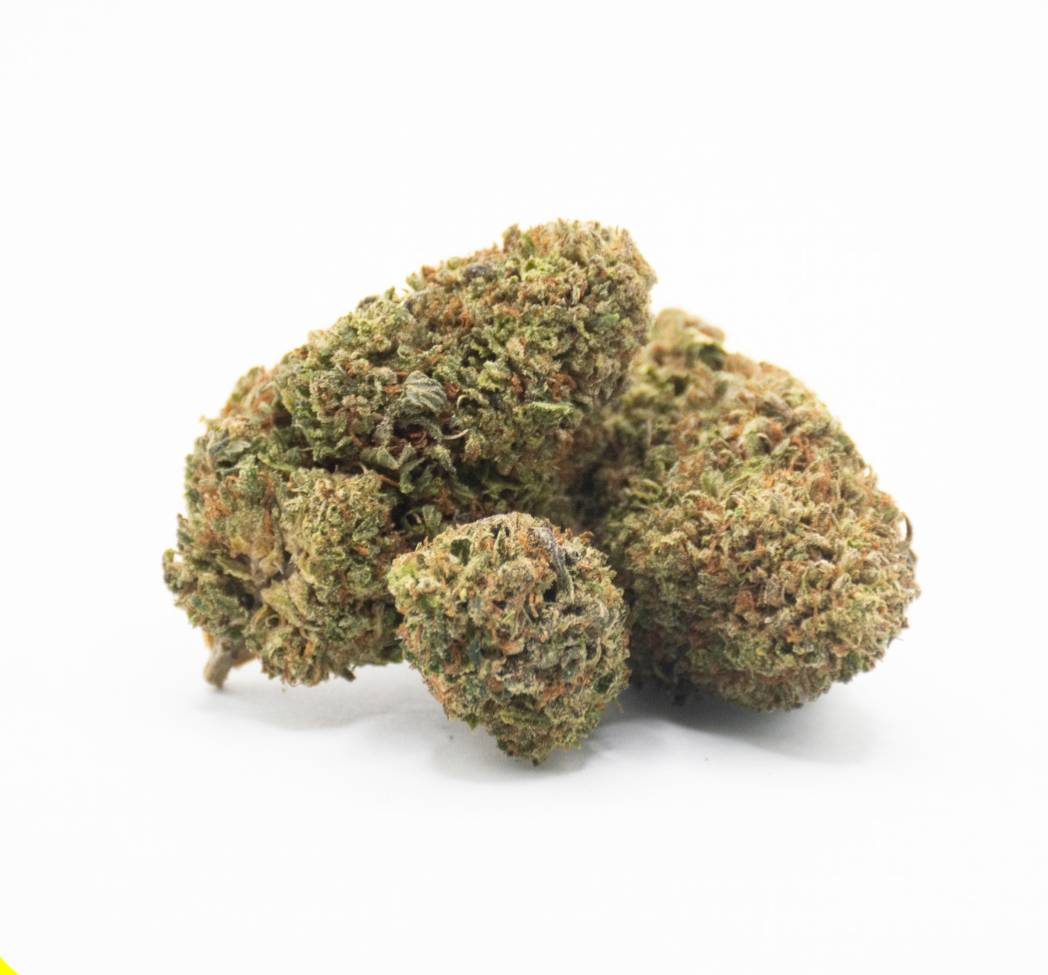 BUBBA KUSH MINI BUD CSA 14%