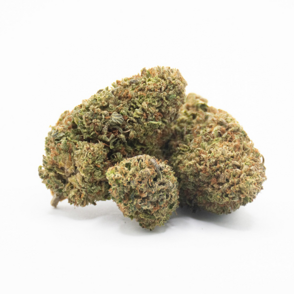 BUBBA KUSH MINI BUD CSA 14%