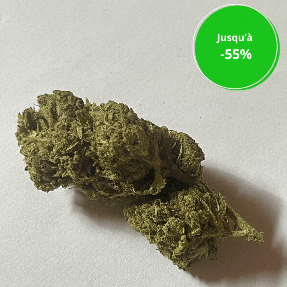 WHITE WIDOW HYDRO CSA