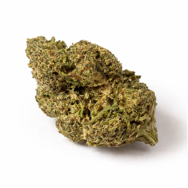 GREEN GELATO 41 INDOOR HPE BZ 10