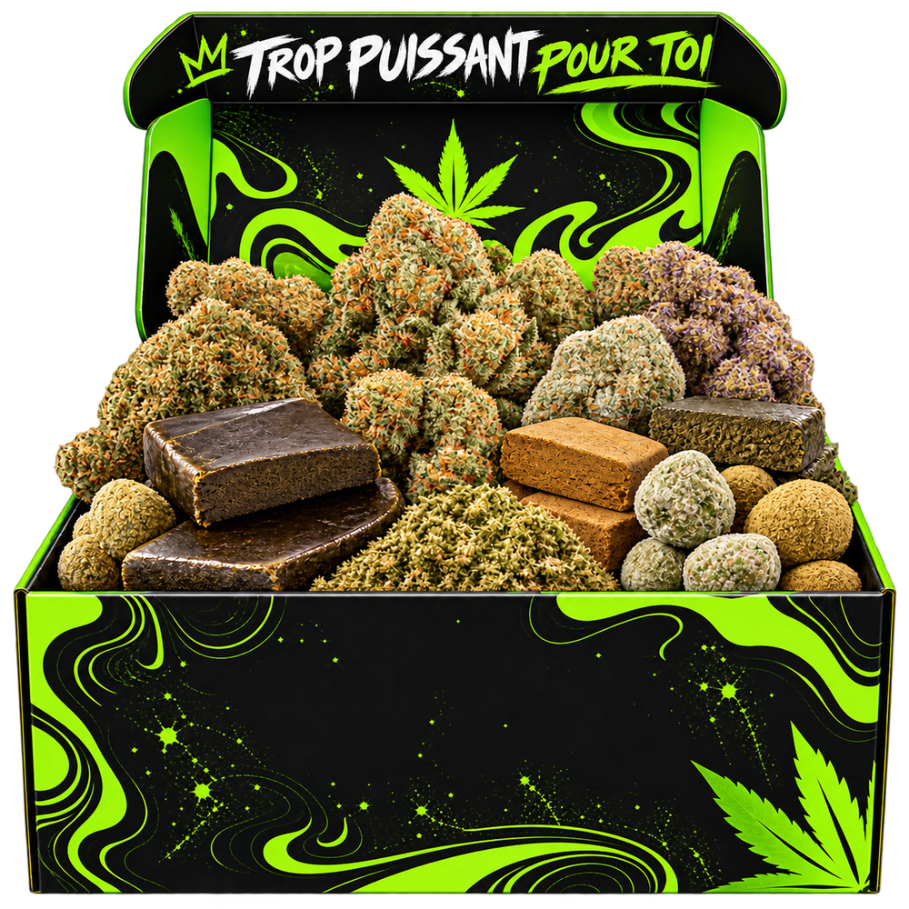 LE + PUISSANT