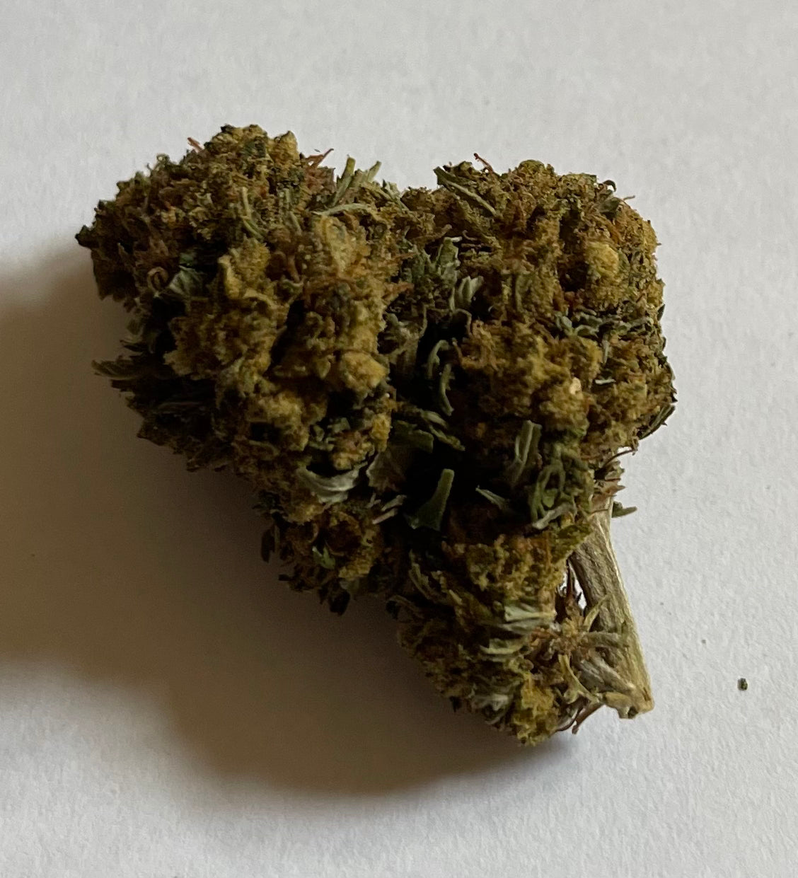 ORANGE BUD HPE 90%