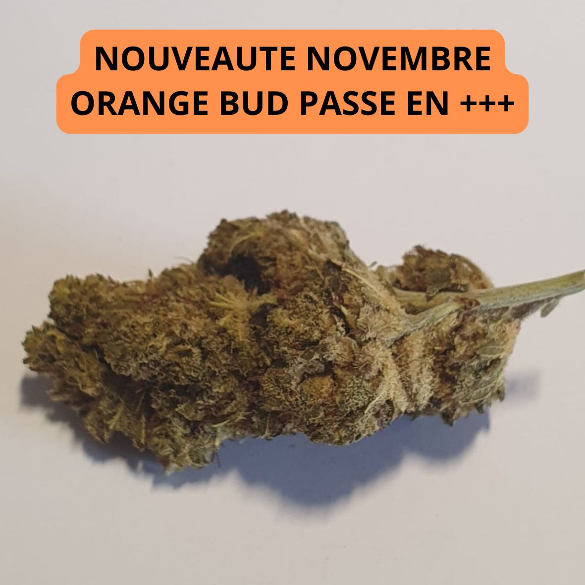 ORANGE BUD HPE 90% +++