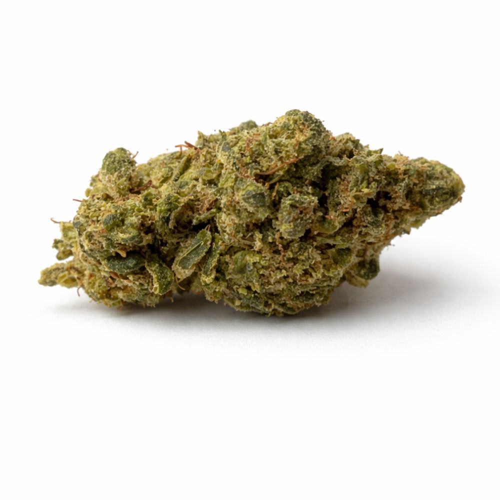 PLUTONIUM OG HYDRO CSA