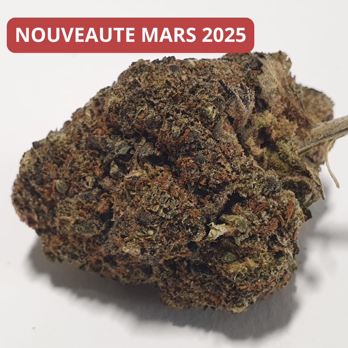 SKITTLEZ DISTILLAT 2.0 +++ 84%