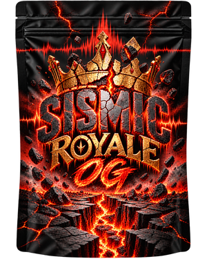 Sismic