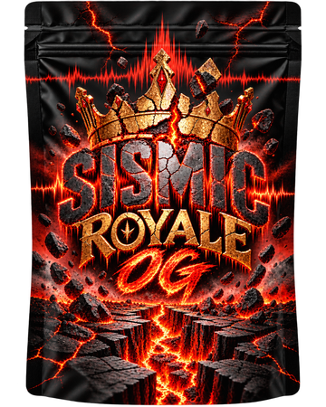 Sismic