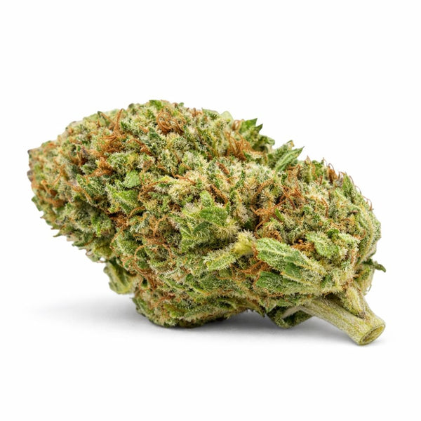 TOMAHAWK HYDRO BZ 10 2.0