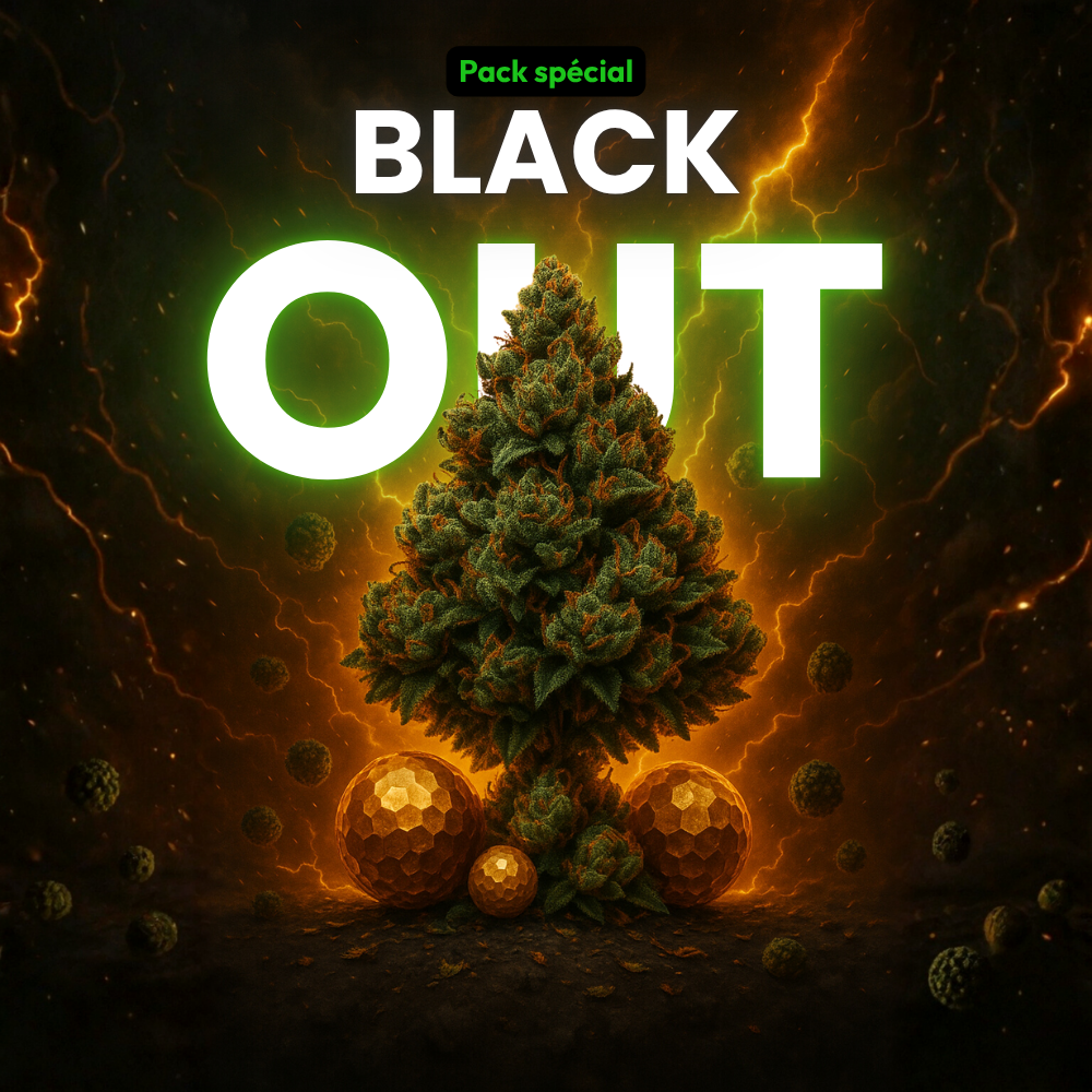 PACK BLACK OUT – Édition Limitée