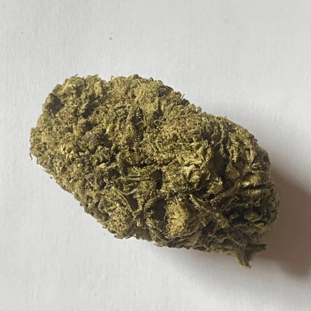 TROPICAL KUSH INDOOR 10 OH HHC