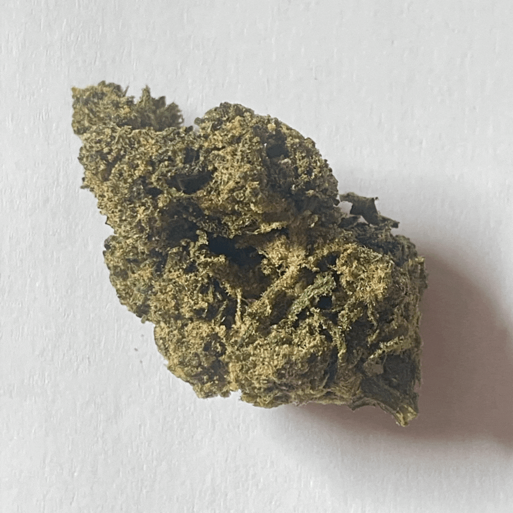 GREEN GELATO 41 INDOOR HPE 10 OH HHC