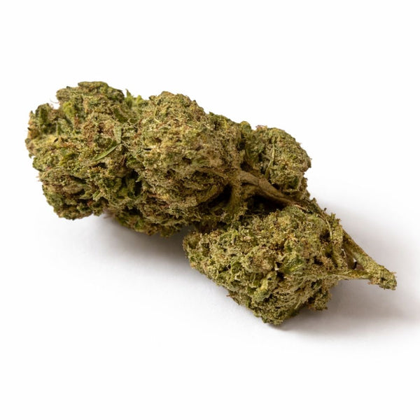 WHITE WIDOW HYDRO CSA