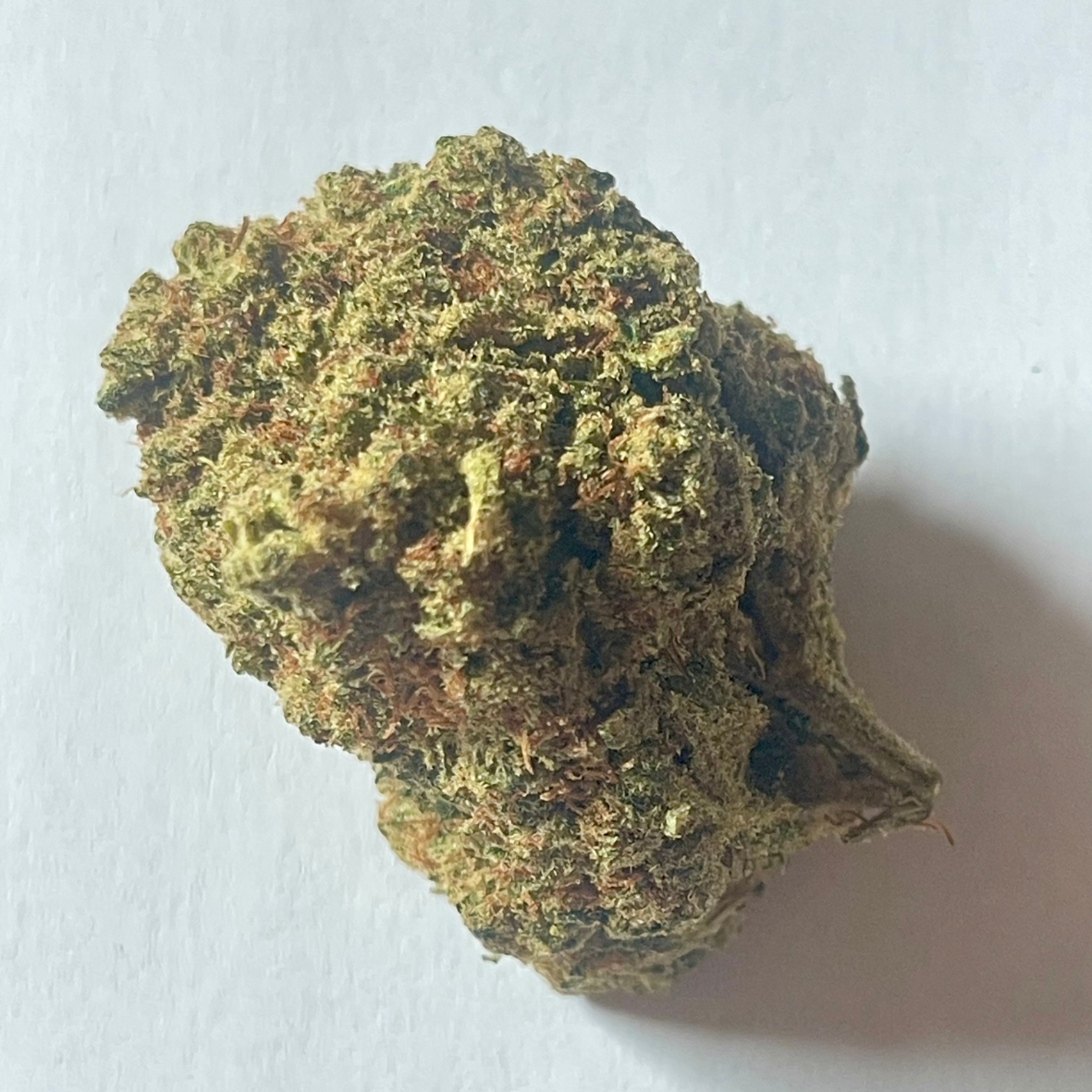 AMNESIA HAZE HYDRO 10 OH HHC