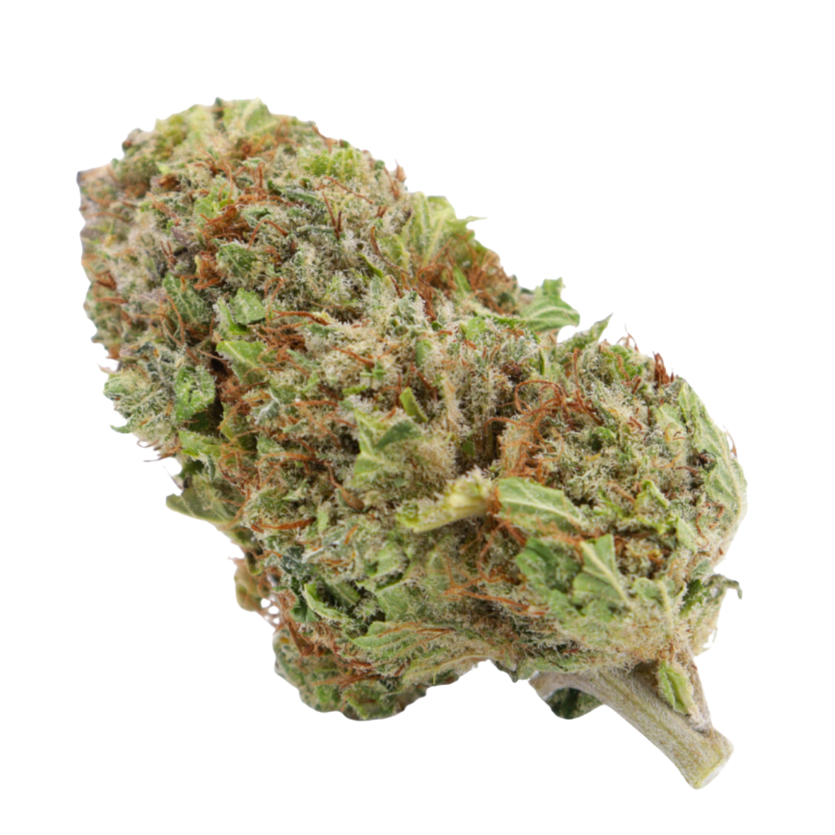 TOMAHAWK HYDRO BZ 10 2.0