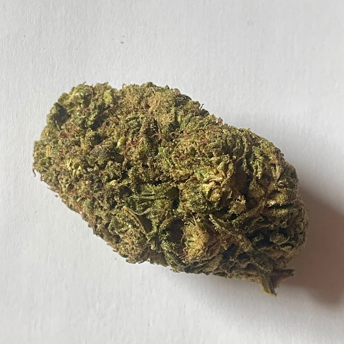 TROPICAL KUSH INDOOR 10 OH HHC
