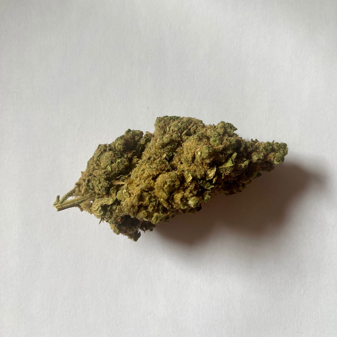 GORILLA GLUE HYDRO 10 OH HHC