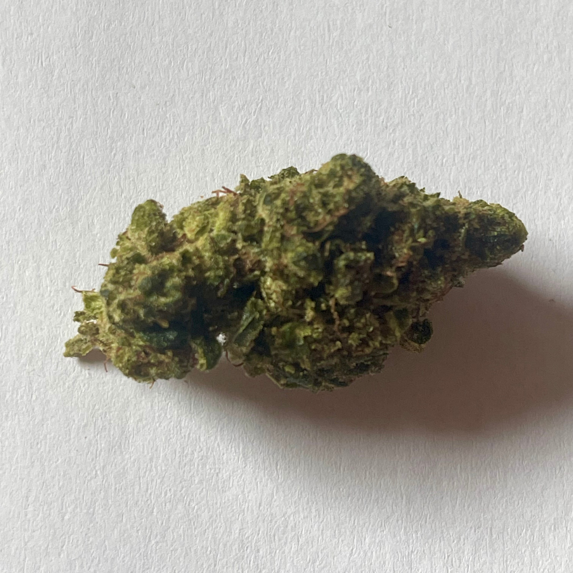 PLUTONIUM OG HYDRO CSA
