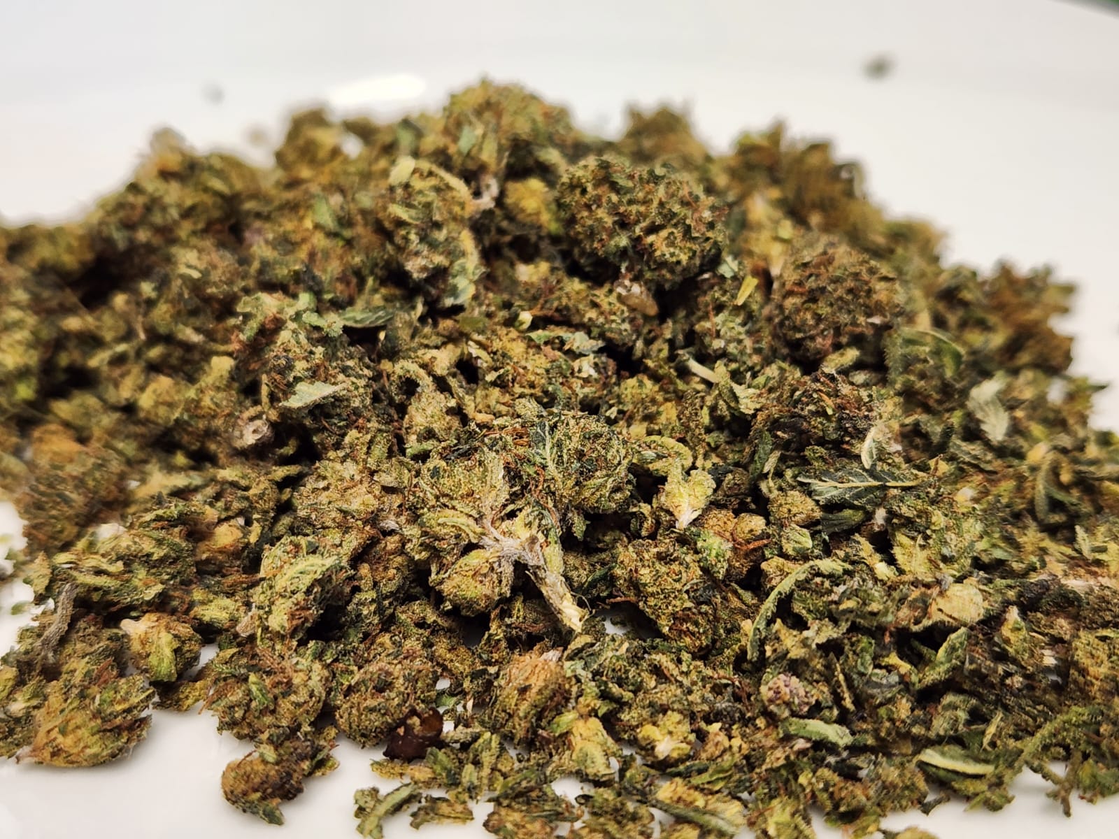 TOP MIX FLEURS CSA